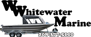 No Image Found
